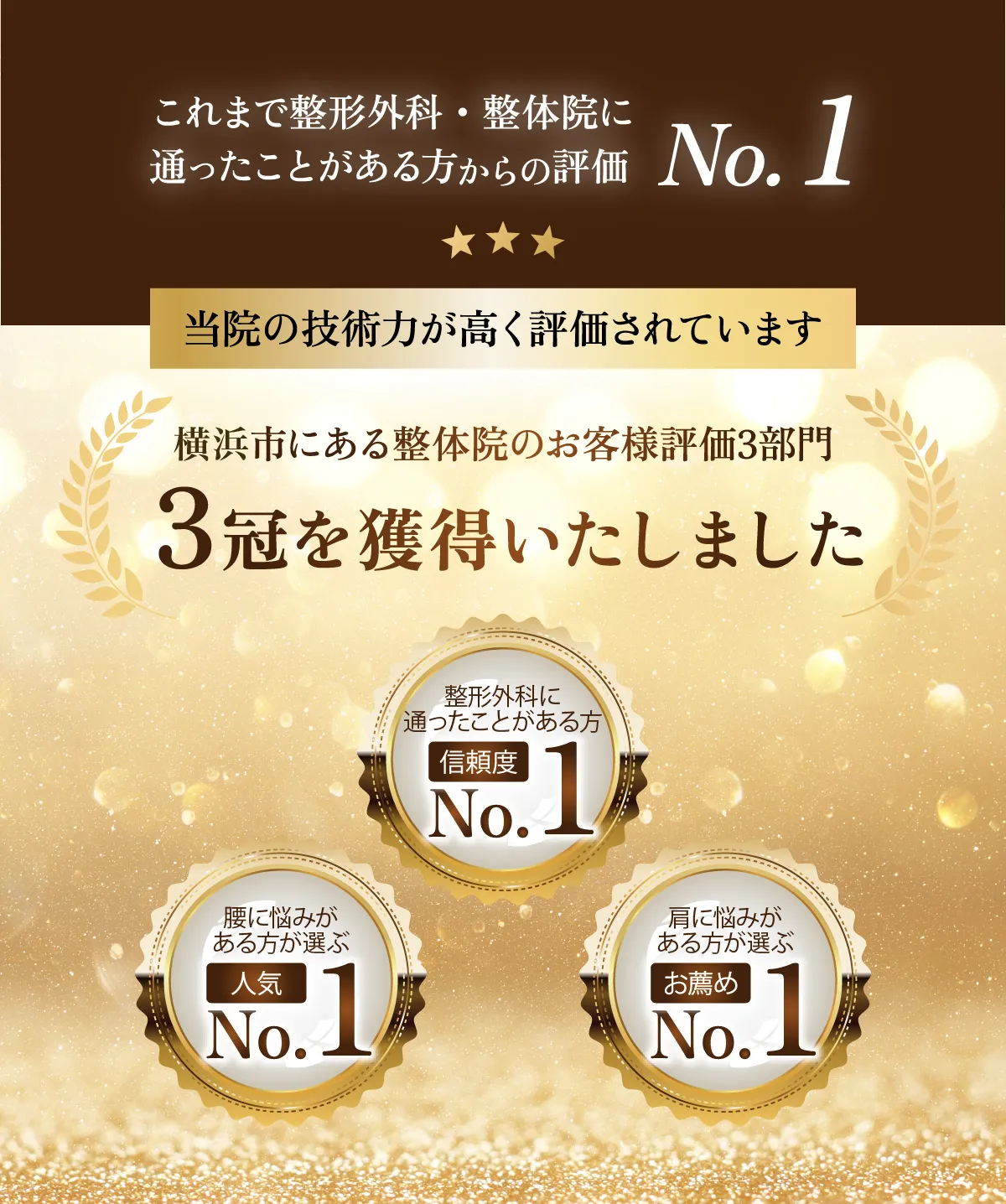 これまで整形外科・整体院に通ったことがある方からの評価No.1